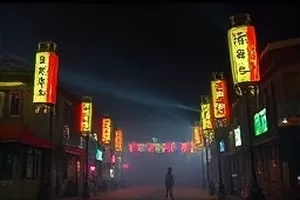 候鸟计划：湿地滩涂上成群的候鸟与观测者